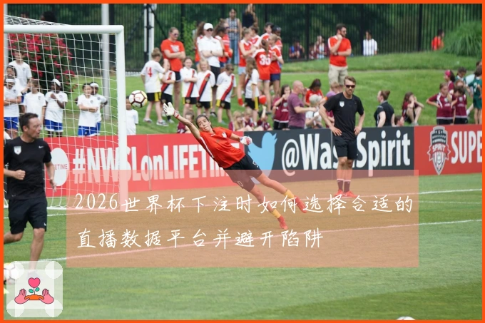 2026世界杯下注时如何选择合适的直播数据平台并避开陷阱