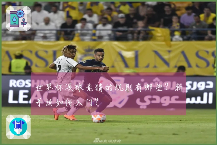 世界杯滚球竞猜的规则有哪些？新手该如何入门？