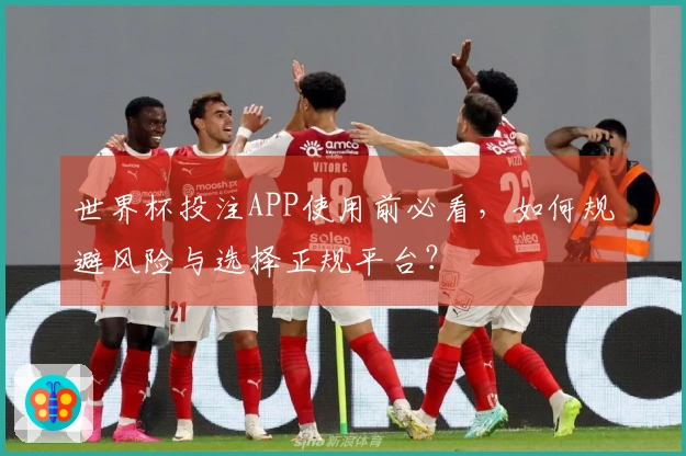 世界杯投注APP使用前必看，如何规避风险与选择正规平台？