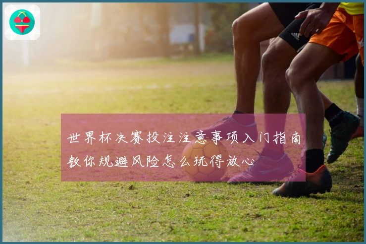 世界杯决赛投注注意事项入门指南教你规避风险怎么玩得放心