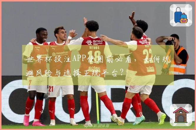 世界杯投注APP使用前必看，如何规避风险与选择正规平台？