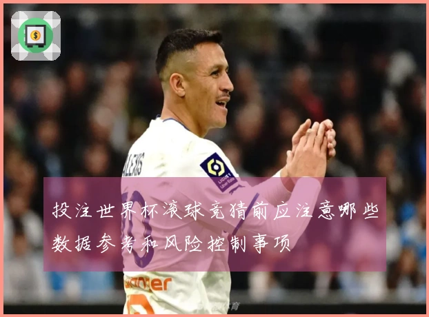 投注世界杯滚球竞猜前应注意哪些数据参考和风险控制事项